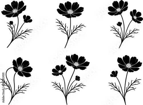 6 Premium Black Cosmos Flowers Icons. Botanical Graphic Elements. Design Element. Clip art. Suitable for artwork design. Editable for any design.