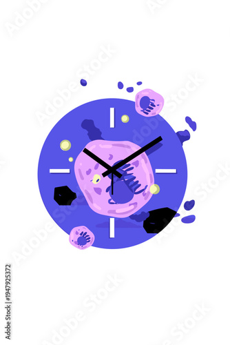 DNA Epigenetic Clock and Biological Data Biomarkers in Minimalist Vector