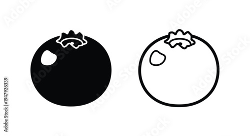Two blueberries one filled and one outlined in a minimalist silhouette