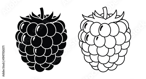 Two raspberries depicted in contrasting black and white a bold silhouette