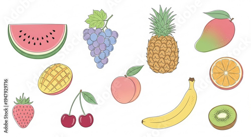 A colorful vector illustration of various fresh fruits on a white background