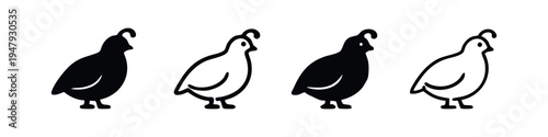 Quail Bird Icons Collection in Solid and Outline Versions, Farm Animal Design