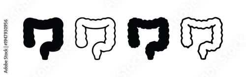 Colon and Large Intestine Vector Icons. Human Digestive System Anatomy.