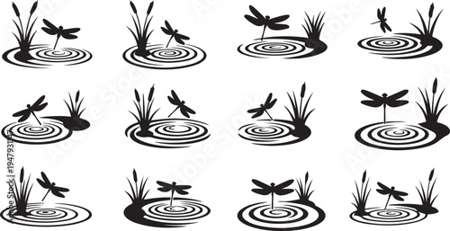 Black and white dragonfly illustrations on water surface designs