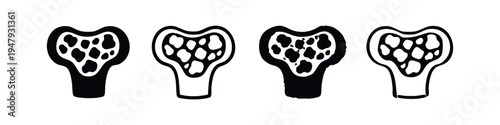 Bone marrow or cross-section icons set, medical and anatomical illustrations for biology and health concepts.