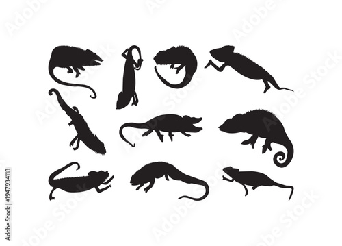 Chameleon, Chameleon vector bundle, Chameleon clipart, Chameleon silhouette.
