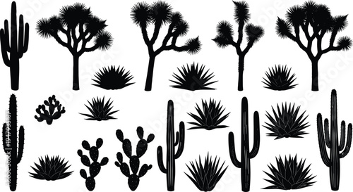 Desert cactus and Joshua tree silhouette set, cad drawing flat vector illustration, succulent plants, agave, prickly pear, southwest nature landscape.
