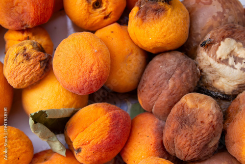 Slika na platnu Rotten Moldy Apricots Close Up, Spoiled Organic Fruit Decay, Food Waste and Fung