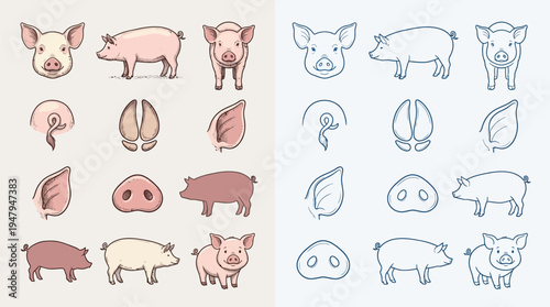 Collection of stylized illustrations of pigs and their body parts in various poses and colors.