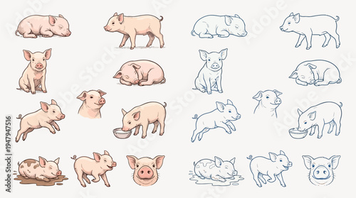 A collection of charming illustrations depicting various poses and activities of young pigs, showcasing their playful and endearing nature.