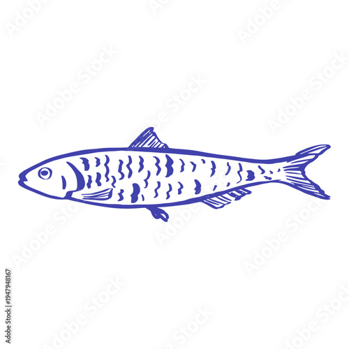 Mediterranean shrimp illustration in blue outline style, featuring a whole prawn with simple lines. Seafood inspired marine element isolated on a light background with a clean coastal feel.