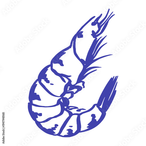 Mediterranean shrimp illustration in blue outline style, featuring a whole prawn with simple lines. Seafood inspired marine element isolated on a light background with a clean coastal feel.