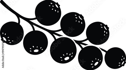 Black currant branch silhouette on transparent background vector file