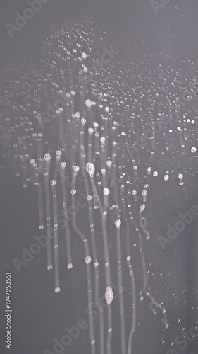 Glass cleaner spray on mirror and hand wiping surface with white paper napkin cleaning service concept, vertical video