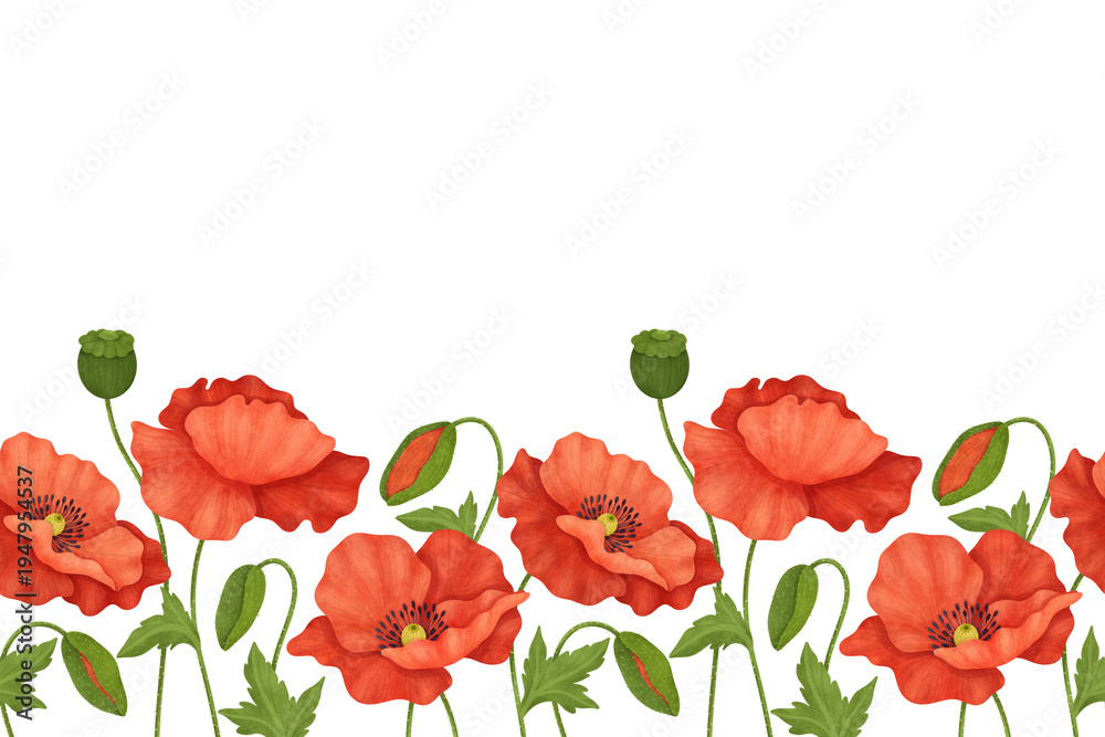 Obraz premium Watercolor Poppies Border