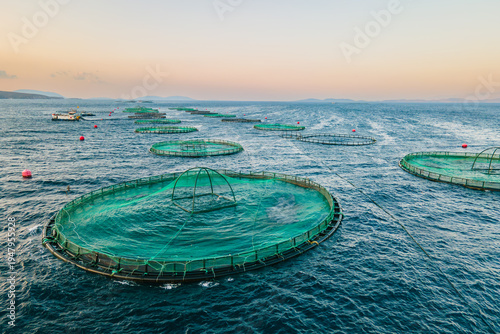 Fotografía Cages for sea bass, sea bream on aquaculture fish farming seafood the Mediterran