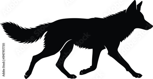 Wolf silhouette walking illustration, wild coyote or fox black and white predator vector, majestic forest animal profile for wildlife design.