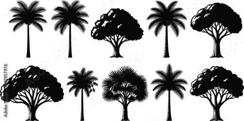 Palm tree silhouettes set, tropical and leafy tree collection, black nature icons, botanical illustration bundle, forest and garden trees isolated vector design