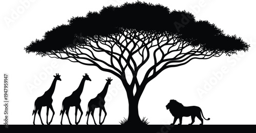 WebAfrican savanna wildlife landscape with giraffes and lion under acacia tree silhouette cad drawing flat vector illustration of safari animals.