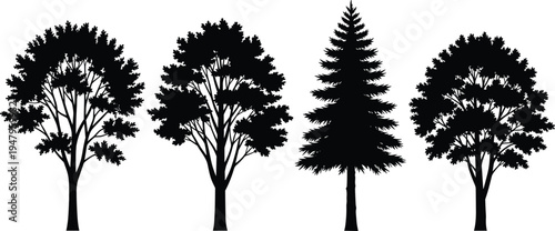 Tree silhouettes collection with deciduous and pine trees, forest nature elements set, botanical black shapes, woodland landscape icons, isolated vector illustration