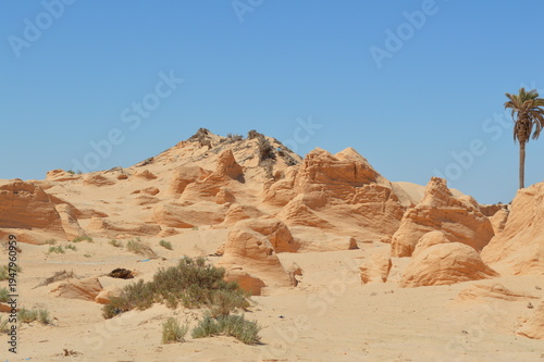 Tunisia,dune pietrificate