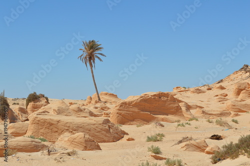 Tunisia,dune pietrificate