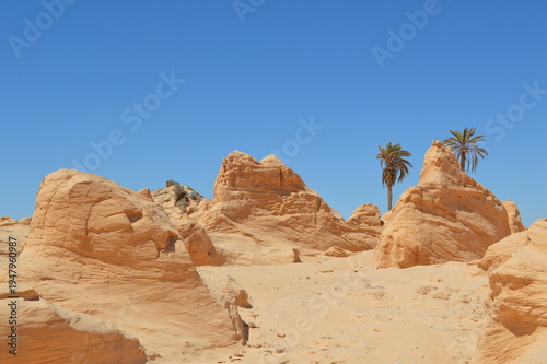 Tunisia,dune pietrificate