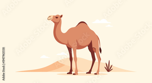 Majestic single humped dromedary camel standing calmly in a vast sandy desert landscape under a clear bright sky.