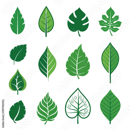 Vector Botanical Leaf Pattern in Modern Organic Style with Green Shades for Natural Design
