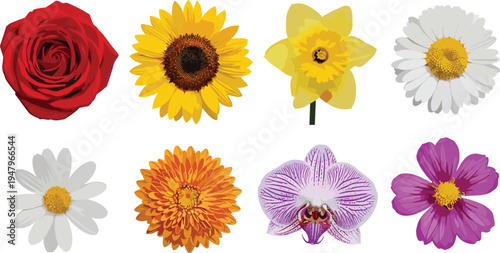 Vector collection of black minimalist computer technology icons featuring laptop mouse keyboard printer webcam monitor and headphones for office equipment and digital work isolated on white background