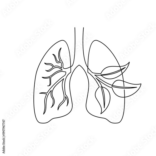 Continuous Line Drawing of Human Lungs with Leaves, Symbolizing Respiratory Health and Nature