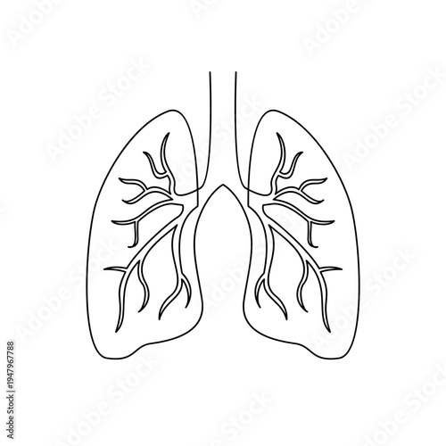 Human Lungs Line Art Drawing - Respiratory System Anatomy Illustration