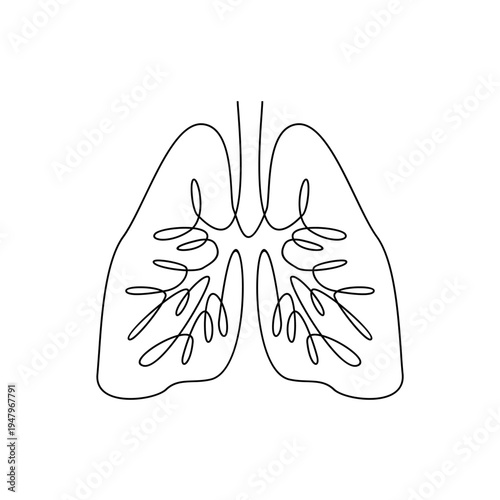 Continuous Line Drawing of Human Lungs, Minimalist Medical Organ Illustration
