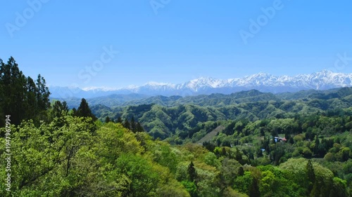 春　北アルプス　新緑