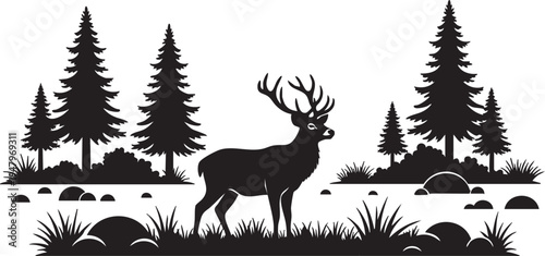 A majestic buck deer standing in a forest clearing with pine trees and rocks around