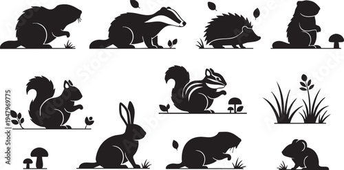 Black silhouettes of various forest animals and plants on white background