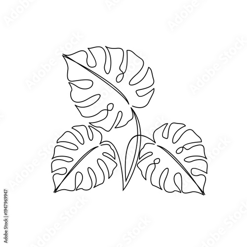 Monstera Leaves Continuous Line Drawing. Minimalist Tropical Botanical Line Art Illustration.