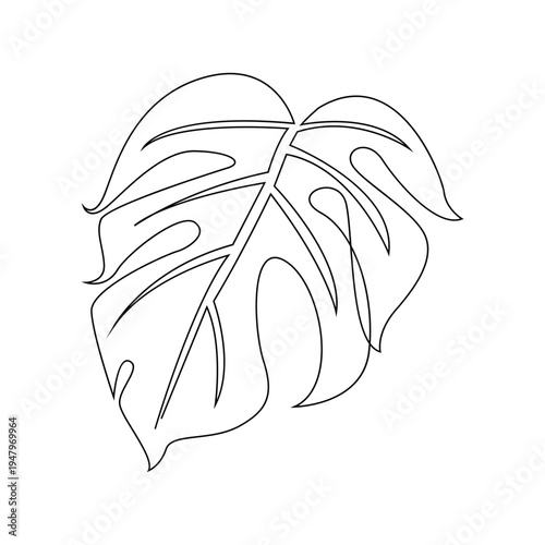 Monstera Leaf Continuous Line Art Drawing Illustration