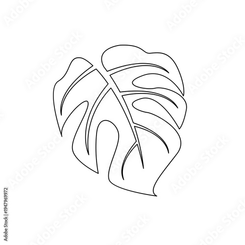 Monstera Leaf Line Art Illustration. Simple Botanical Icon on White Background.