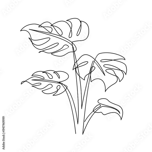 Monstera Plant Leaves Continuous One Line Art Drawing