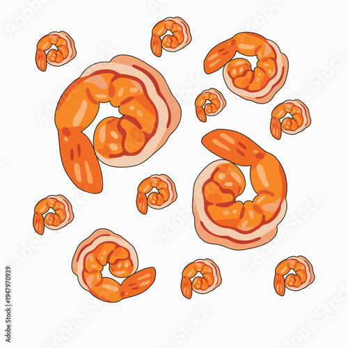 Cooked shrimps on white background illustration, Vector illustration