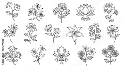 Elegant floral arrangements in black and white sketches.