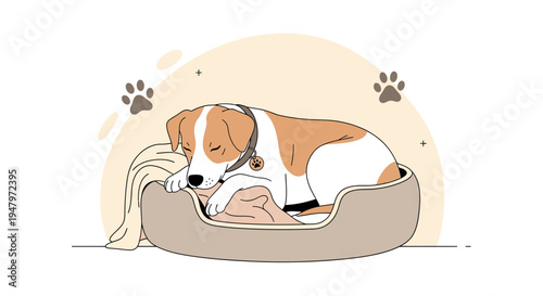 Cute Jack Russell Terrier Dog Sleeping Peacefully in Cozy Bed