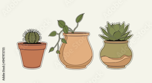 Illustration of three potted succulent plants with decorative pots in a minimalist style.