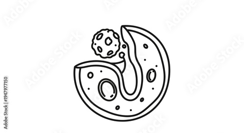 Abstract representation of a cell with organelles and a virus or bacteria