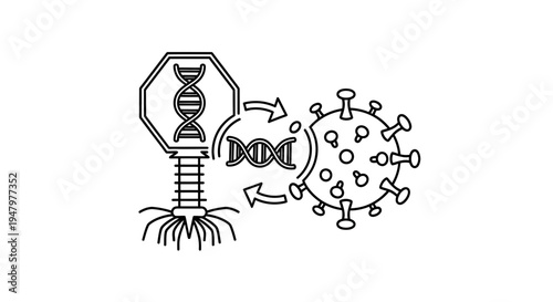 Bacteriophage Infecting Coronavirus DNA Transfer Scientific Illustration