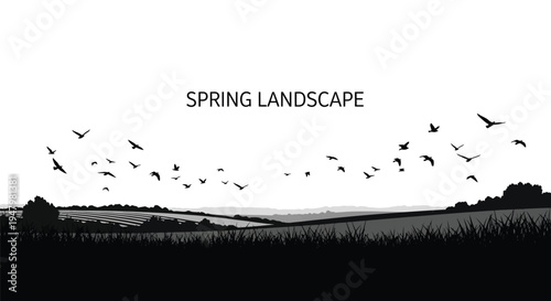 A beautiful black and white silhouette captures a serene spring landscape with gently rolling hills and vast open fields under a clear sky, where numerous birds gracefully soar, creating a tranquil an