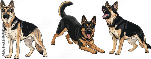 East European Shepherd dog play bow barking standing alert pose set
