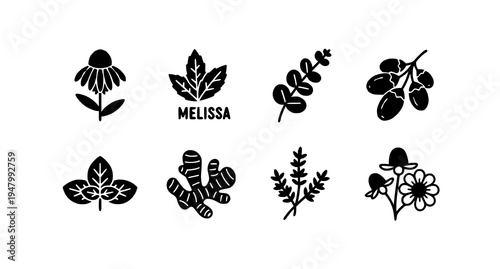 A set of minimalist botanical illustrations featuring various flowers and leaves in a flat design style