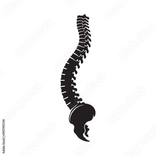 Human spine anatomy silhouette vector icon illustration